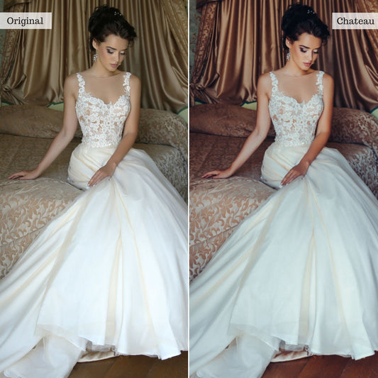 Chateau - Single Color Palette Lightroom Presets & AI Tools