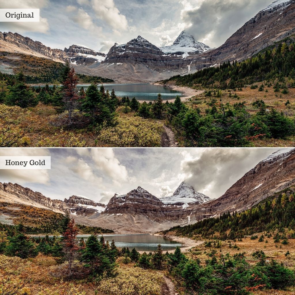 Honey & Gold Instagram Presets for Lightroom Mobile & Desktop