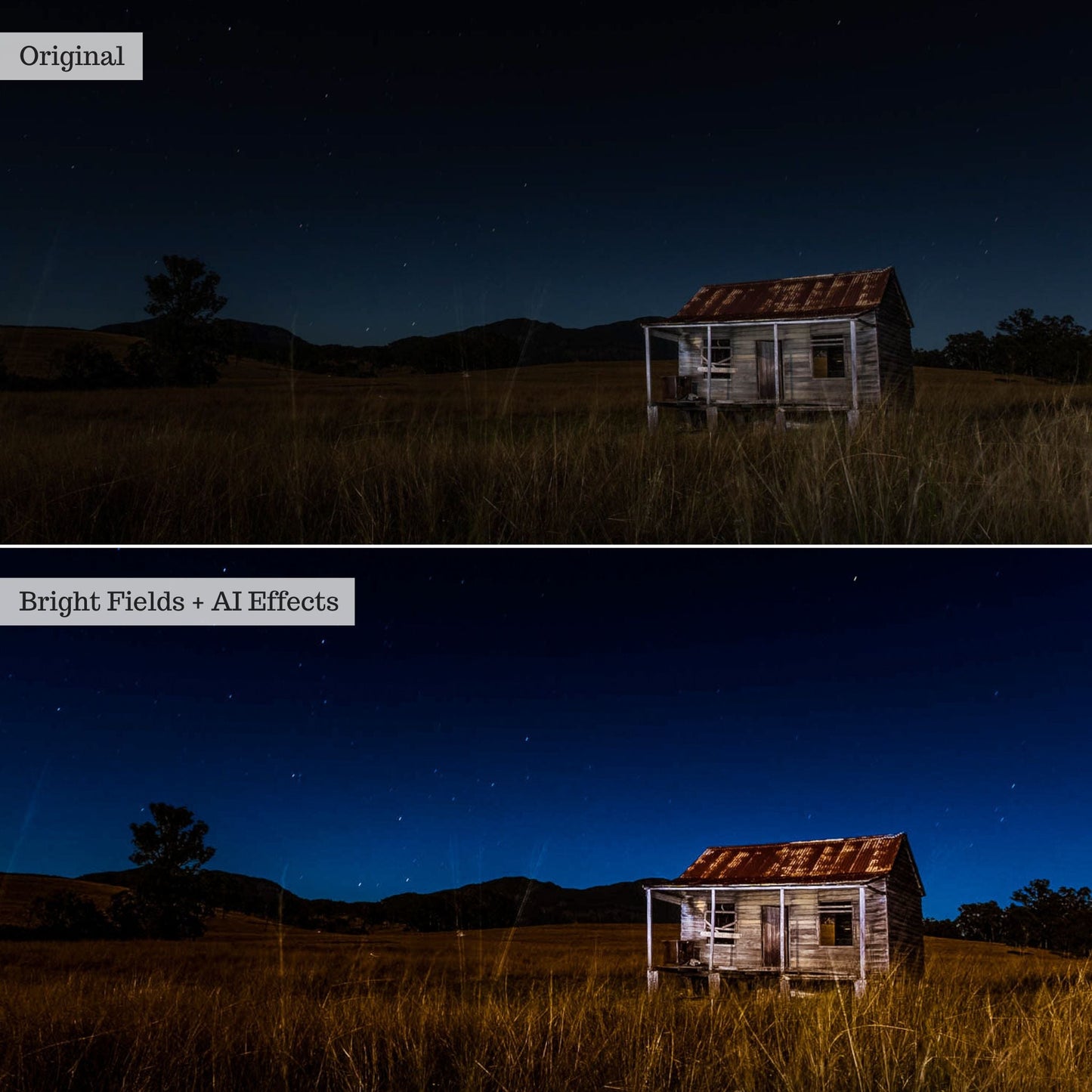 Elements - Landscapes & Wildlife 2.0 Lightroom Presets & AI Powered Tools – Desktop & Mobile