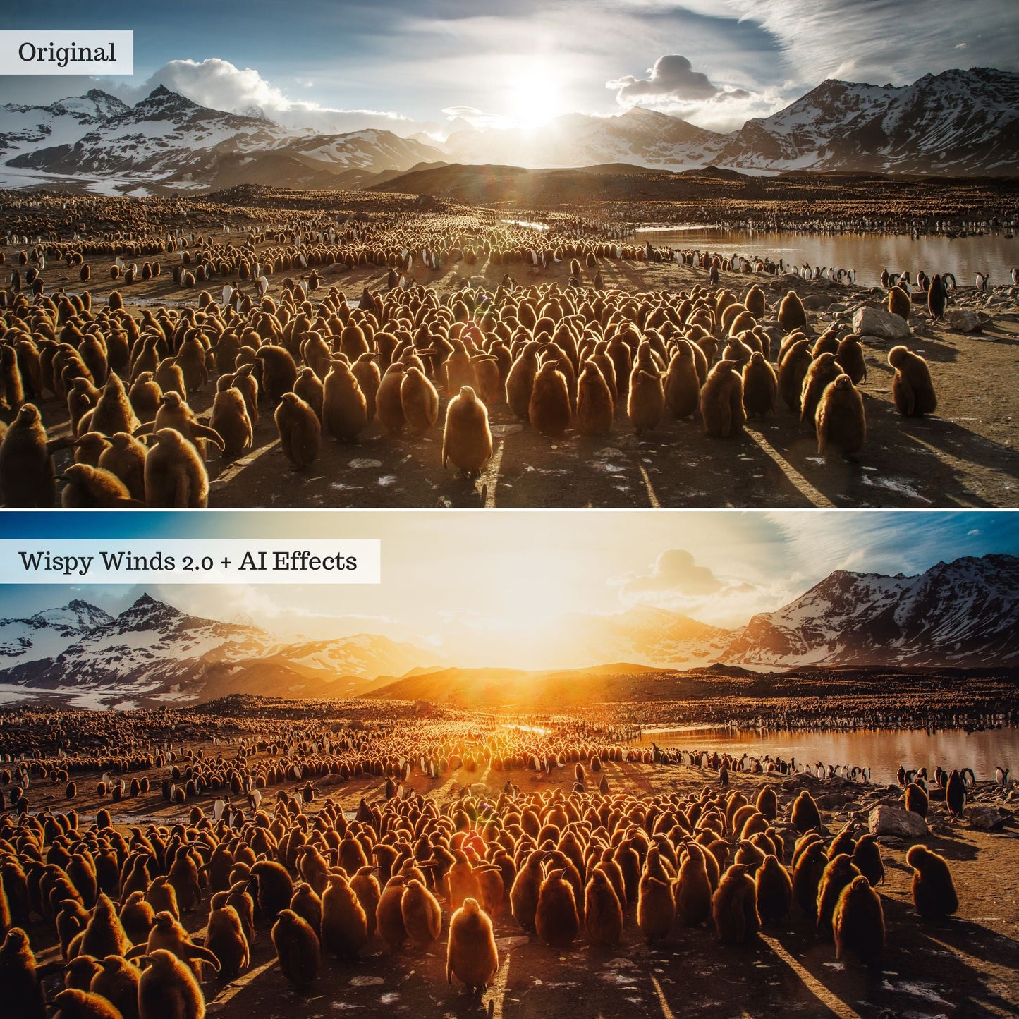 Elements - Landscapes & Wildlife 2.0 Lightroom Presets & AI Powered Tools – Desktop & Mobile