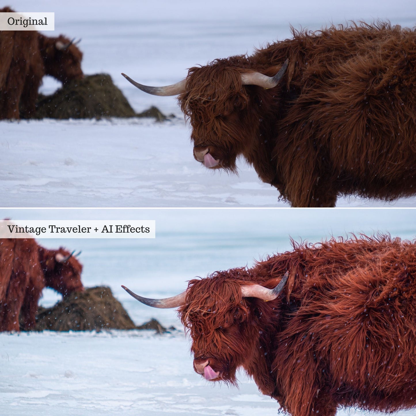 Elements - Landscapes & Wildlife 2.0 Lightroom Presets & AI Powered Tools – Desktop & Mobile