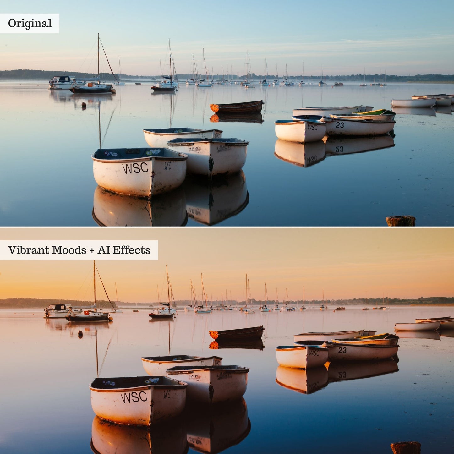 Elements - Landscapes & Wildlife 2.0 Lightroom Presets & AI Powered Tools – Desktop & Mobile