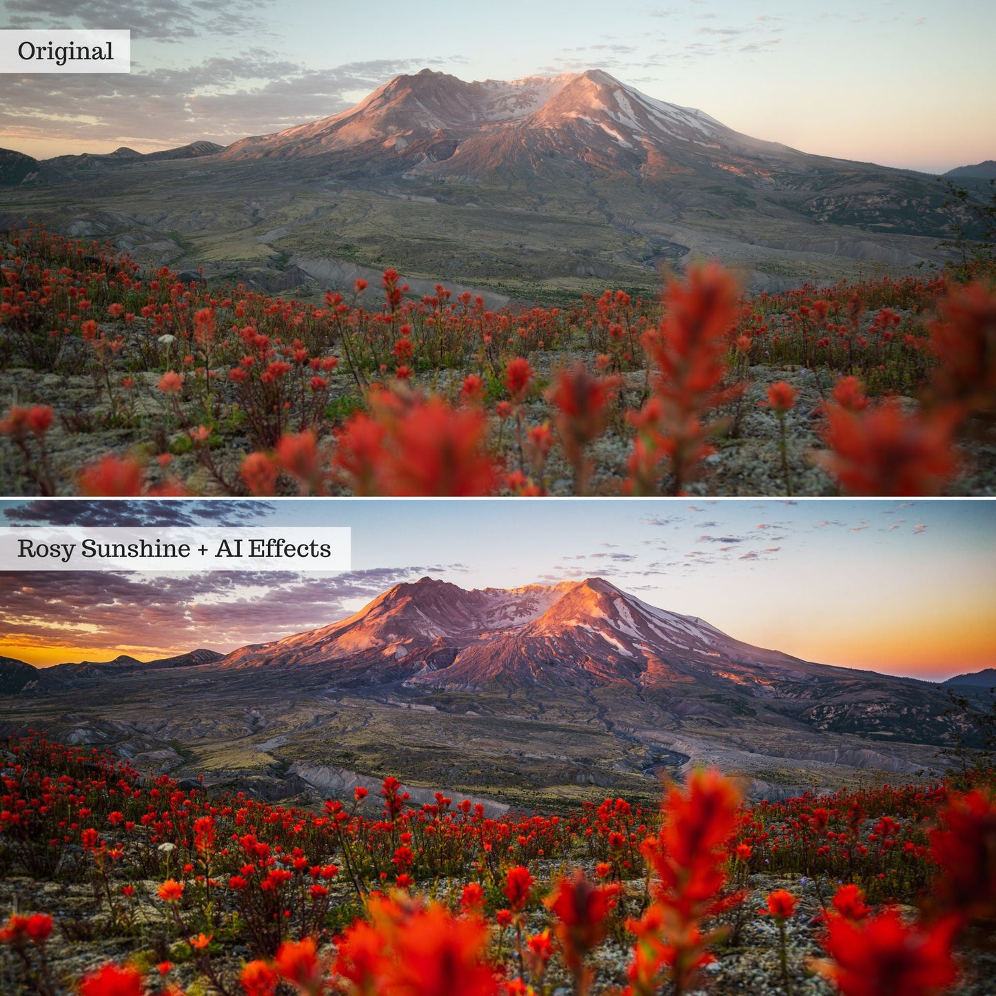 Elements - Landscapes & Wildlife 2.0 Lightroom Presets & AI Powered Tools – Desktop & Mobile