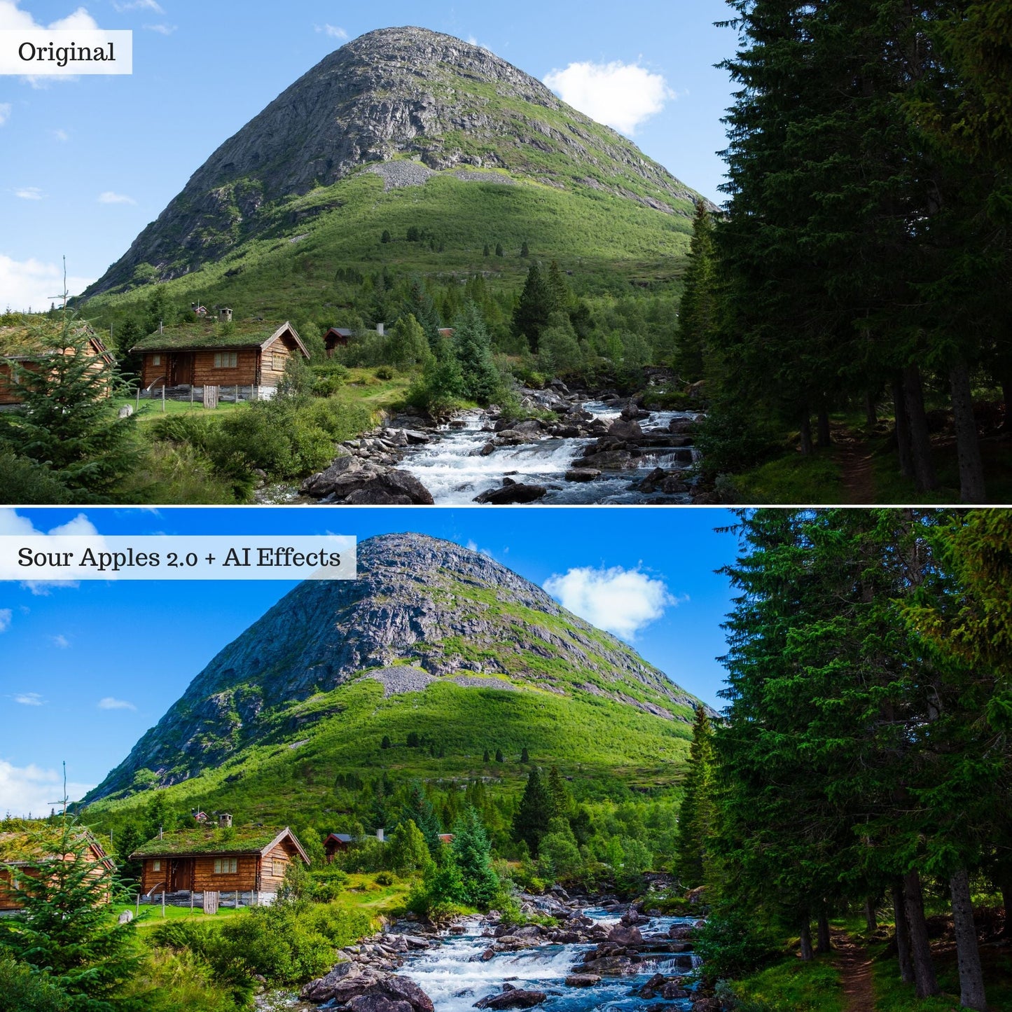 Elements - Landscapes & Wildlife 2.0 Lightroom Presets & AI Powered Tools – Desktop & Mobile
