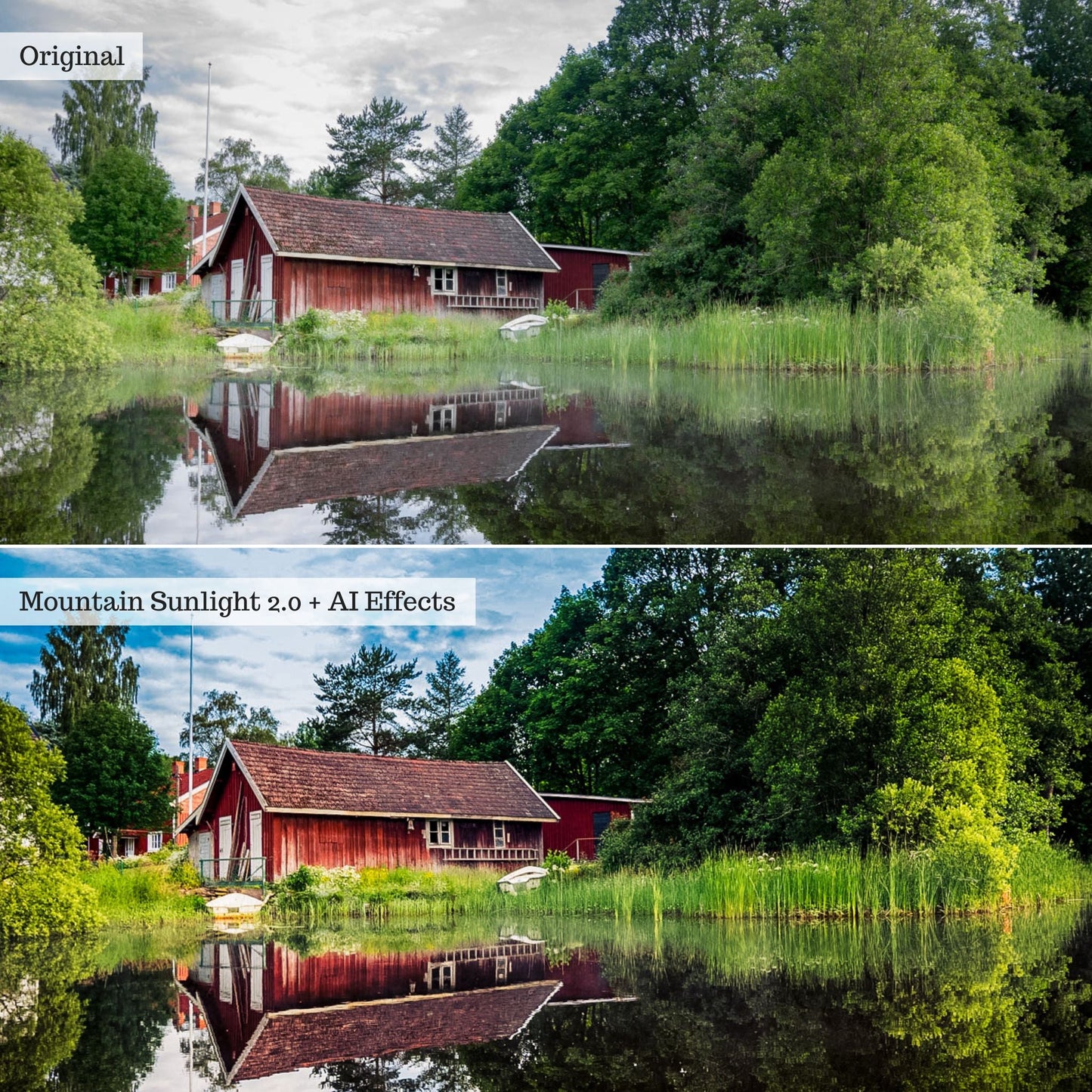 Elements - Landscapes & Wildlife 2.0 Lightroom Presets & AI Powered Tools – Desktop & Mobile