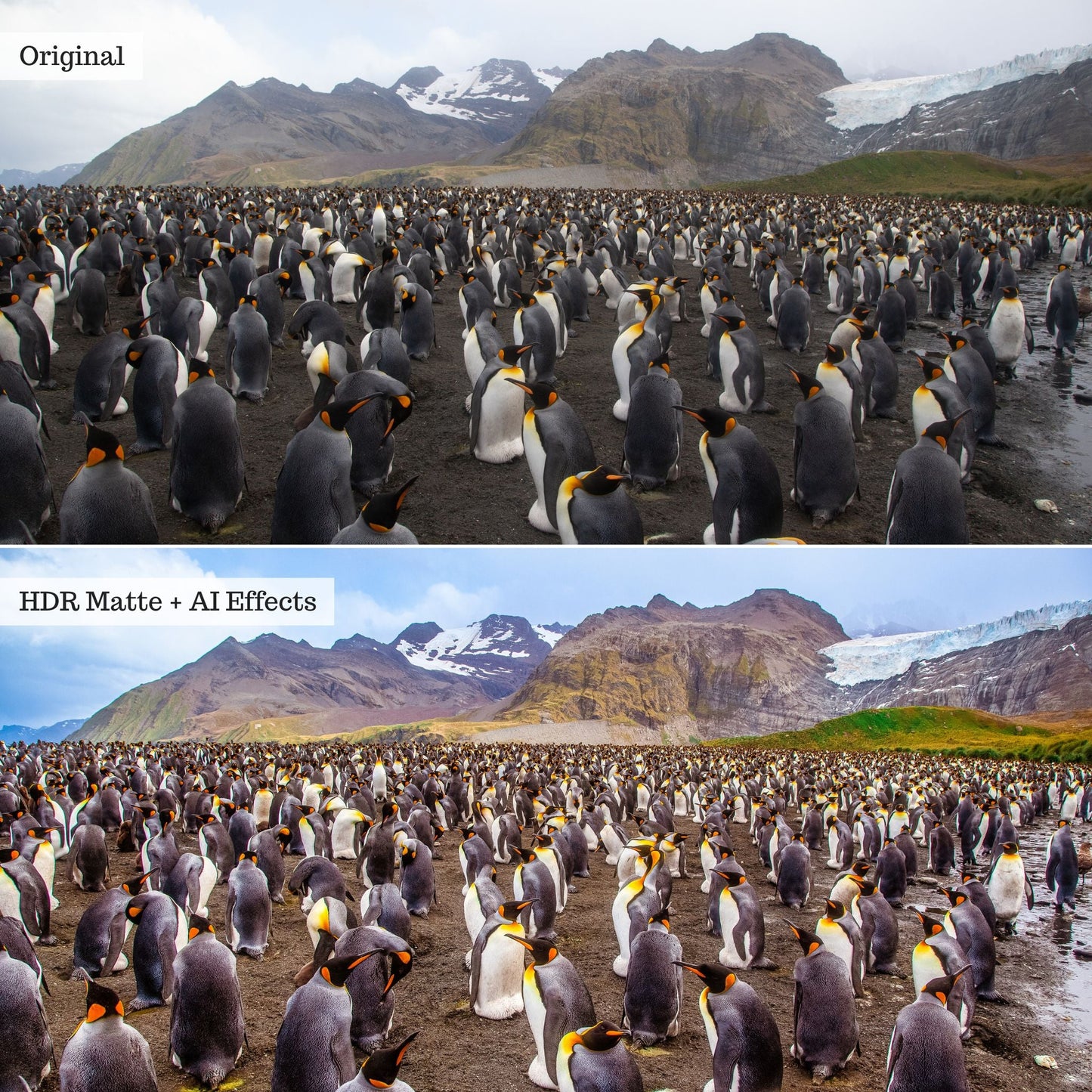 Elements - Landscapes & Wildlife 2.0 Lightroom Presets & AI Powered Tools – Desktop & Mobile